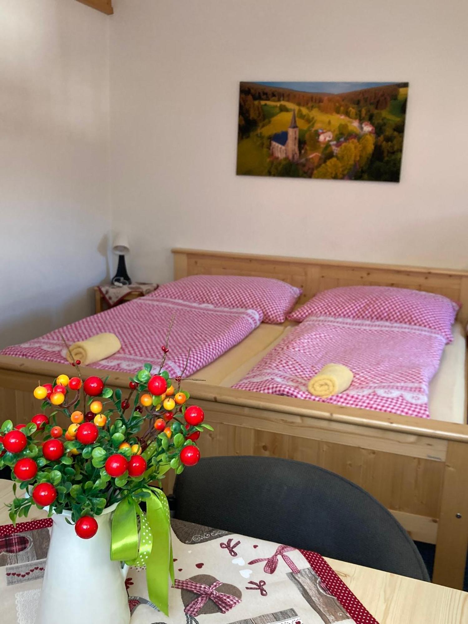 Penzion Eliska Petrikov  Exteriör bild