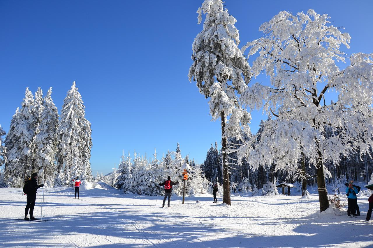 Penzion Eliska Petrikov  Exteriör bild