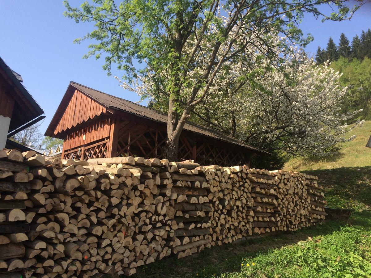Penzion Eliska Petrikov  Exteriör bild